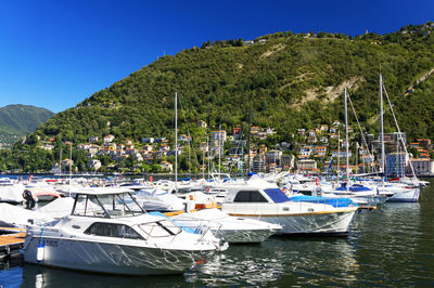 Boats moored in lake against lush foliage