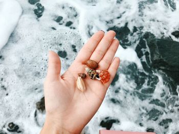 High angle view of human hand on sea