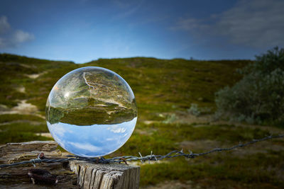 Crystal ball on a weathered wooden fence post with barbed wire, dune landscape with heather, moss 