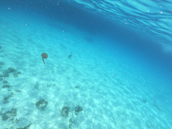 High angle view of swimming pool in sea