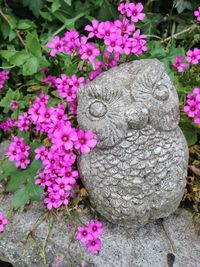 Close-up of bird by flowers