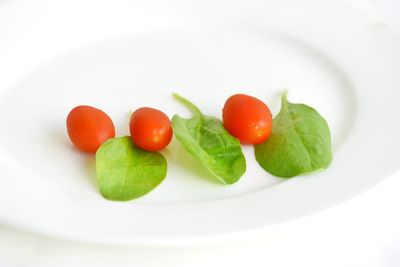 Close-up of fruit salad in plate