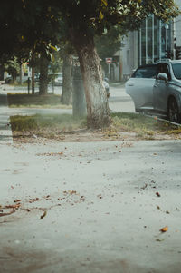 Car on road