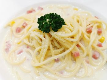 Close-up of meal served in plate