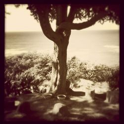 Scenic view of sea at sunset