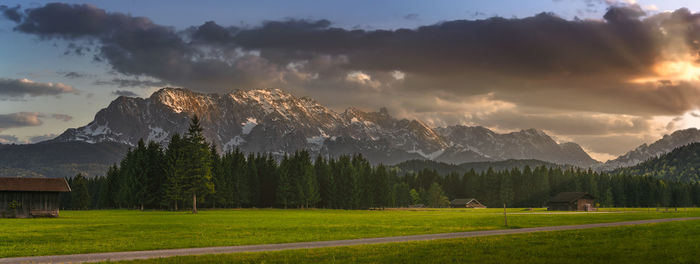 Panoramic view of trees on field against mountains