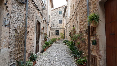 Narrow alley amidst buildings