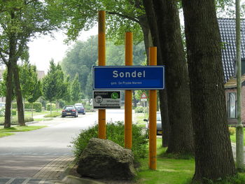 Road sign by tree trunk