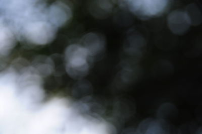 Close-up of blurred background