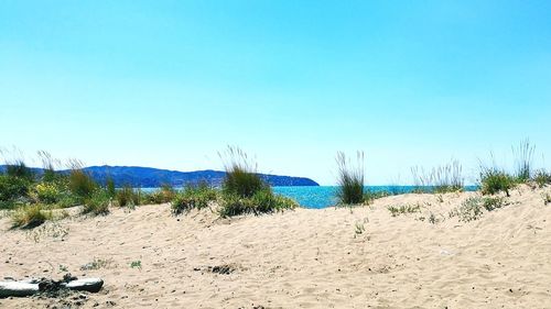 Scenic view of beach against clear blue sky