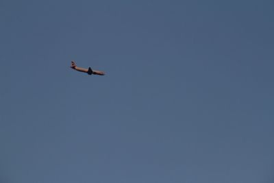 Low angle view of kite flying in sky