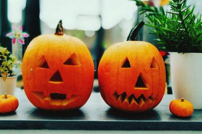 Close-up view of pumpkins