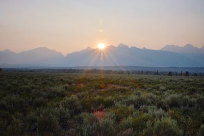 Scenic view of field against sky during sunset