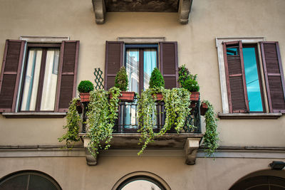 Potted plants on window sill of building