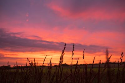 Scenic view of field against cloudy sky