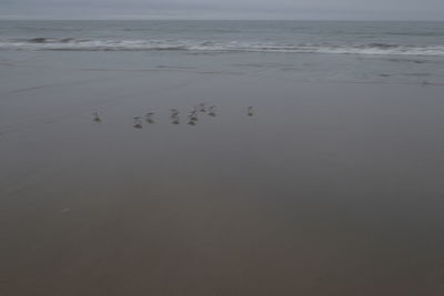 Scenic view of beach