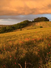 Scenic view of landscape against cloudy sky