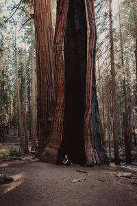 Woman sitting against trees in forest