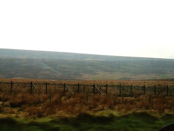 Scenic view of field against clear sky