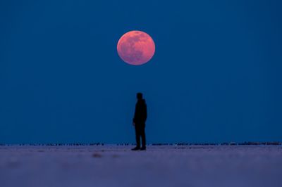 Watching the blood moon rise