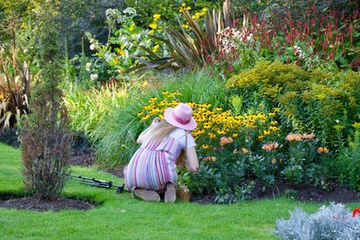 Rear view of woman sitting by flower plants in yard