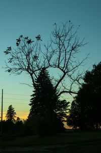 Bare trees on field against sky