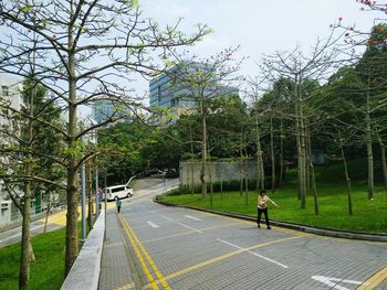 Footpath along trees