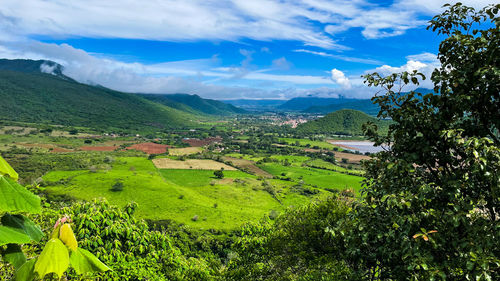 Scenic view of agricultural field against sky