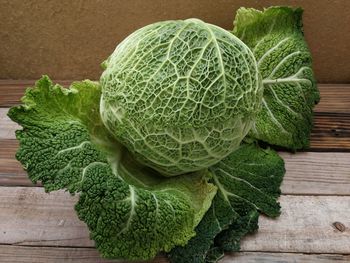 Close-up of cabbage against white background