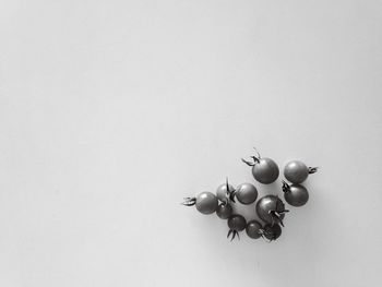 Close-up of apple over white background