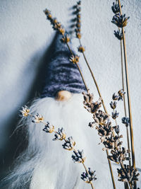 High angle view of christmas tree
