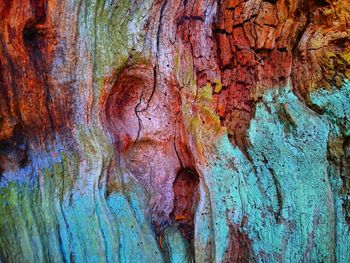 Close-up of tree trunk