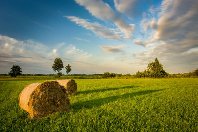 Bales of hay on a green meadow, beauty clouds on a blue sky