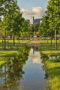 Scenic view of park by lake against sky