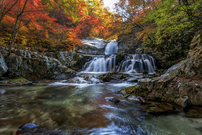 Stream flowing through rocks in forest