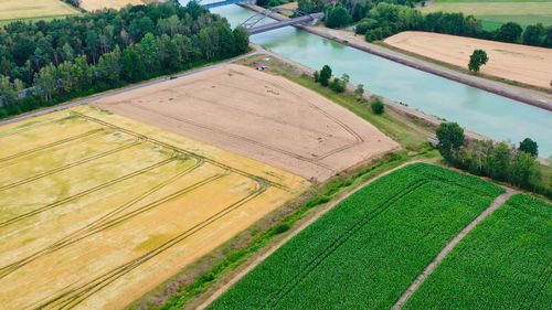 High angle view of agricultural field