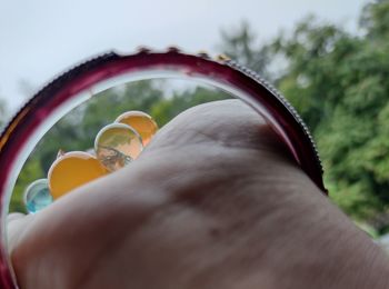 Close-up of person holding multi colored umbrella