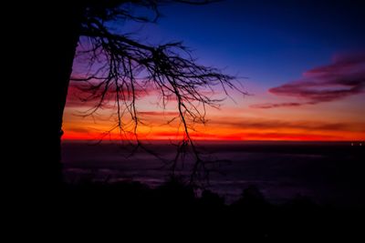 Silhouette of trees against dramatic sky