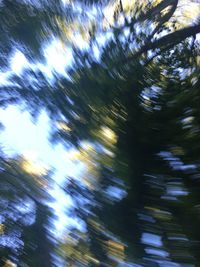 Low angle view of trees against sky