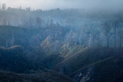 Scenic view of landscape against sky during foggy weather