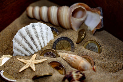 Close-up of shells and coins on table