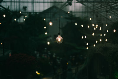 Low angle view of illuminated light bulbs hanging from ceiling