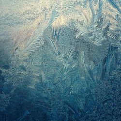 Full frame shot of tiled floor