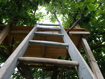 Low angle view of trees and building