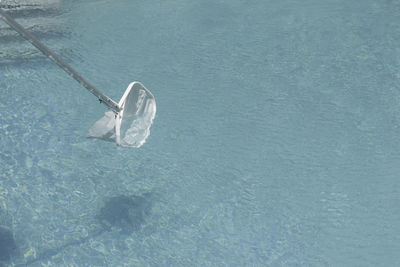 Net cleaning device in isolated pool on water with copy space around. summer house cleaning activity