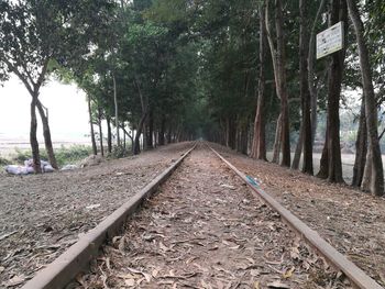 Railroad tracks amidst trees against sky