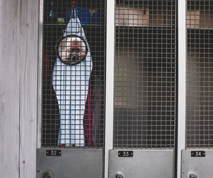 Close-up of window in cage