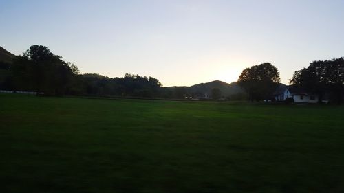 Scenic view of grassy field against sky