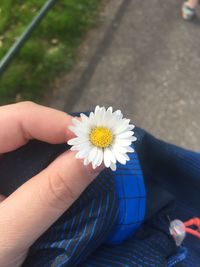 Low section of woman holding flower