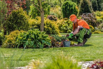 Gardener working at park